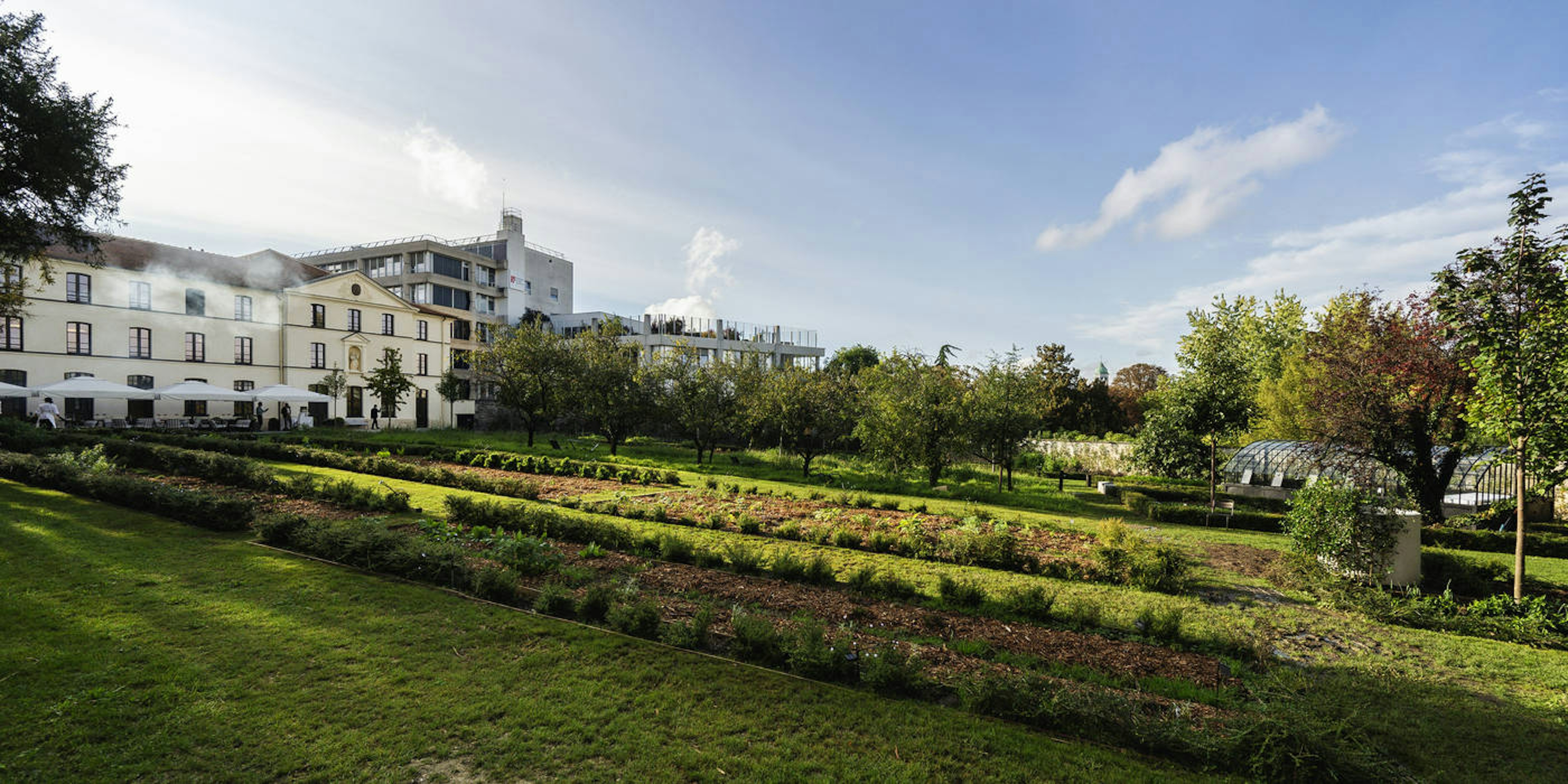 Aujourd’hui - Le Jardin