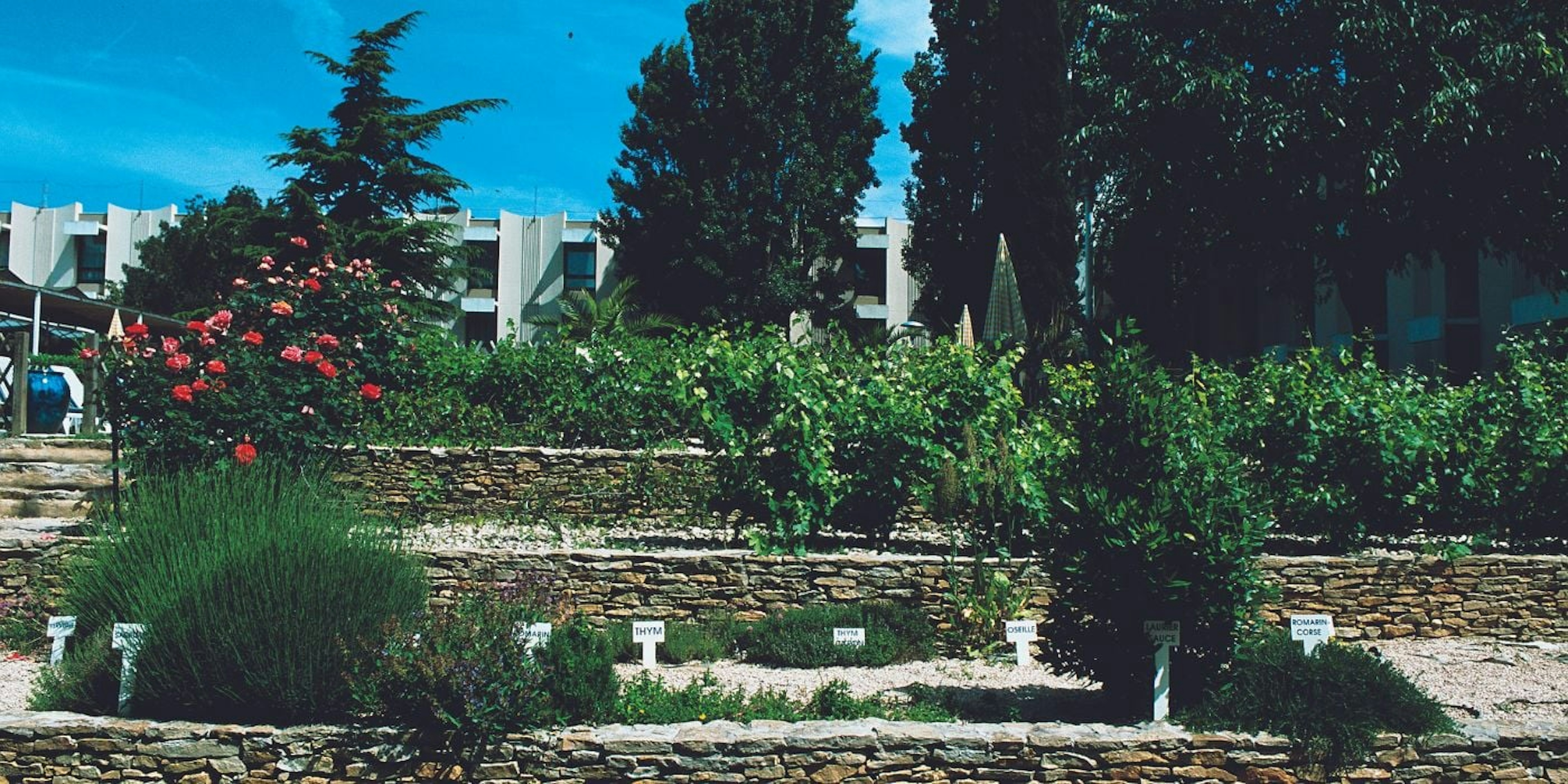 Picture of On-site organic garden – Novotel & ibis budget Marseille Est Porte d’Aubagne