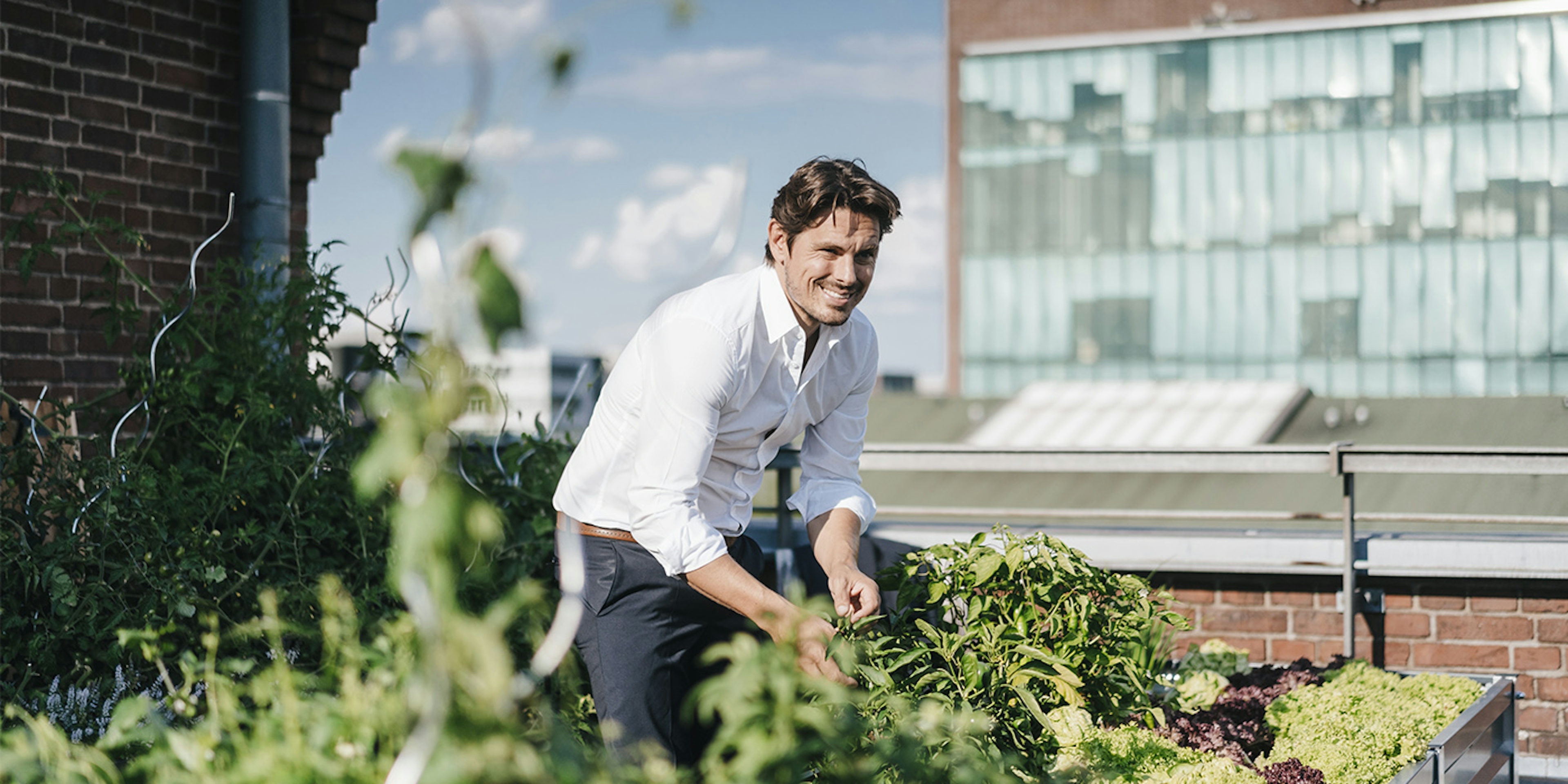 Picture of a man gardening