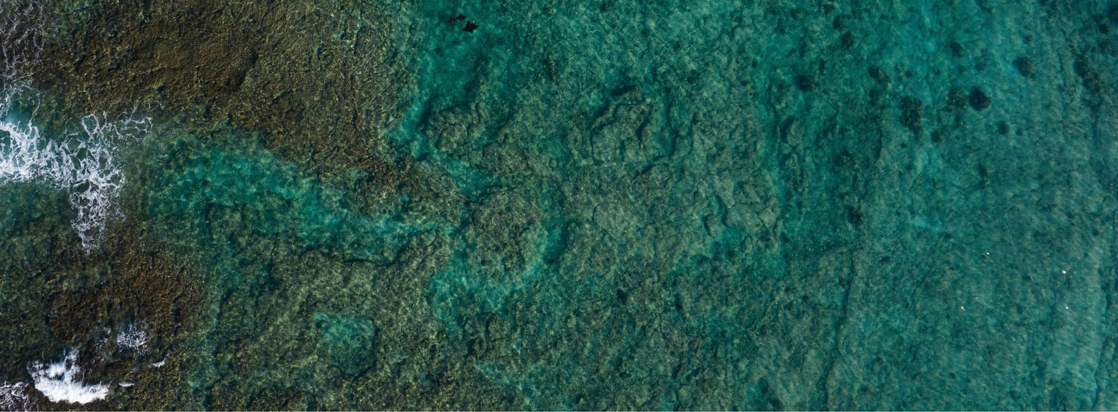 La mer