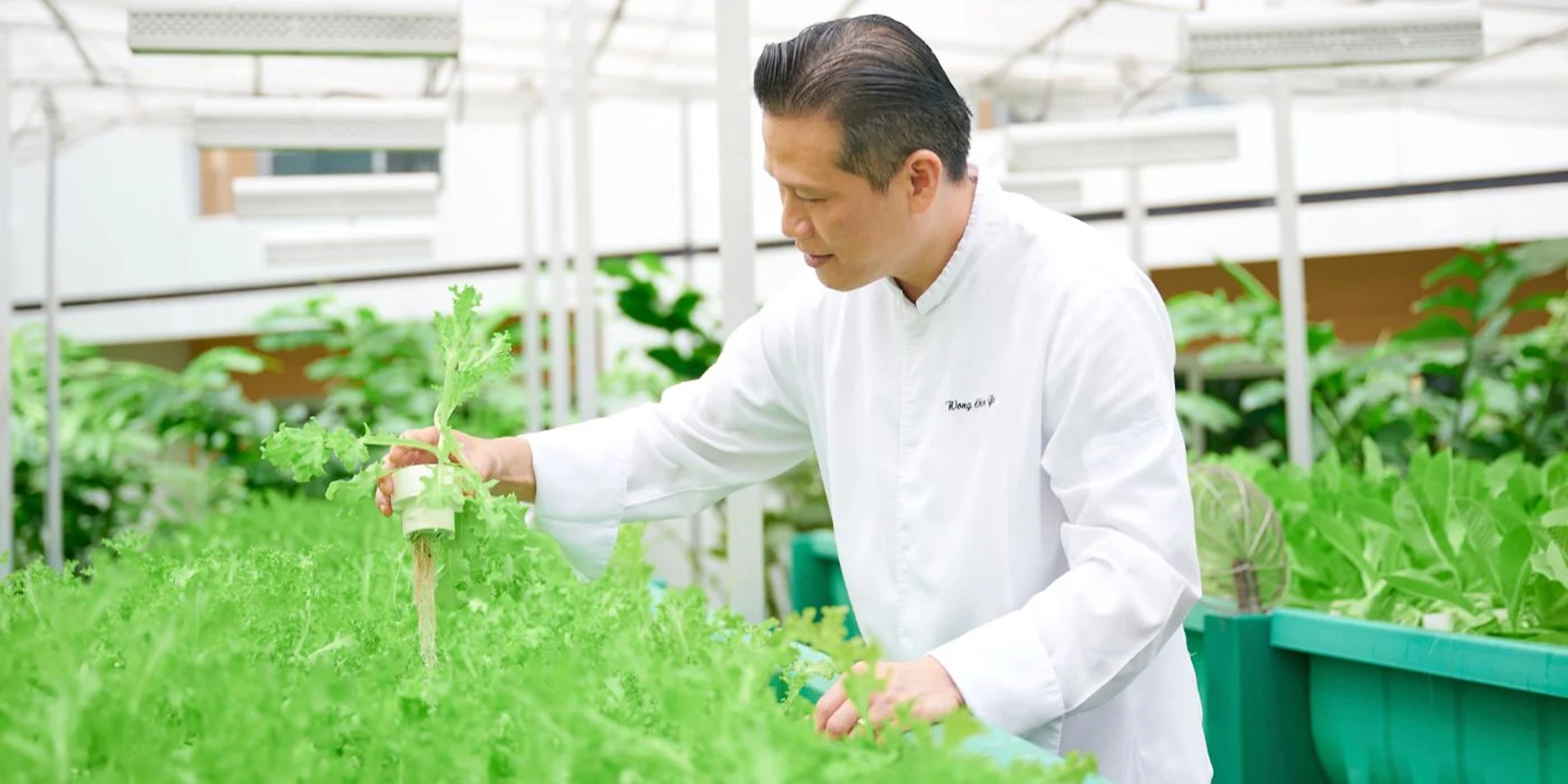 Fairmont et Swissotel The Stamford, Singapour