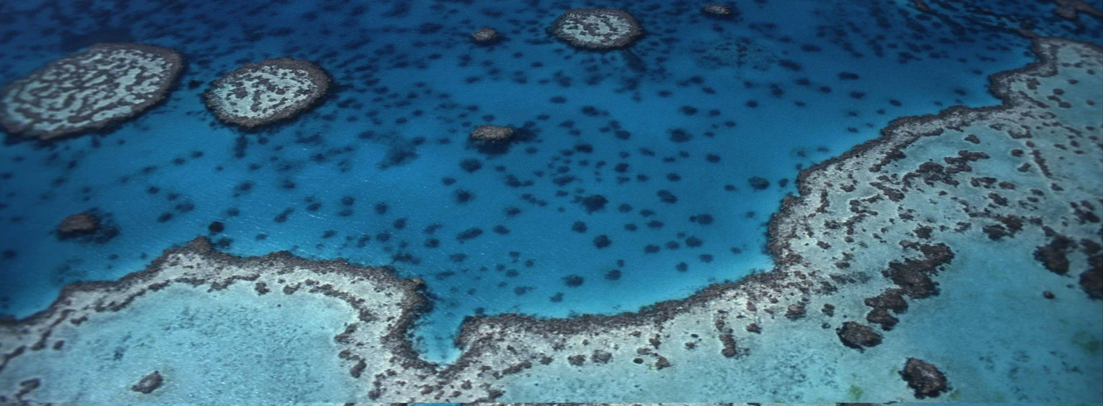 Ocean accord partnership WWF