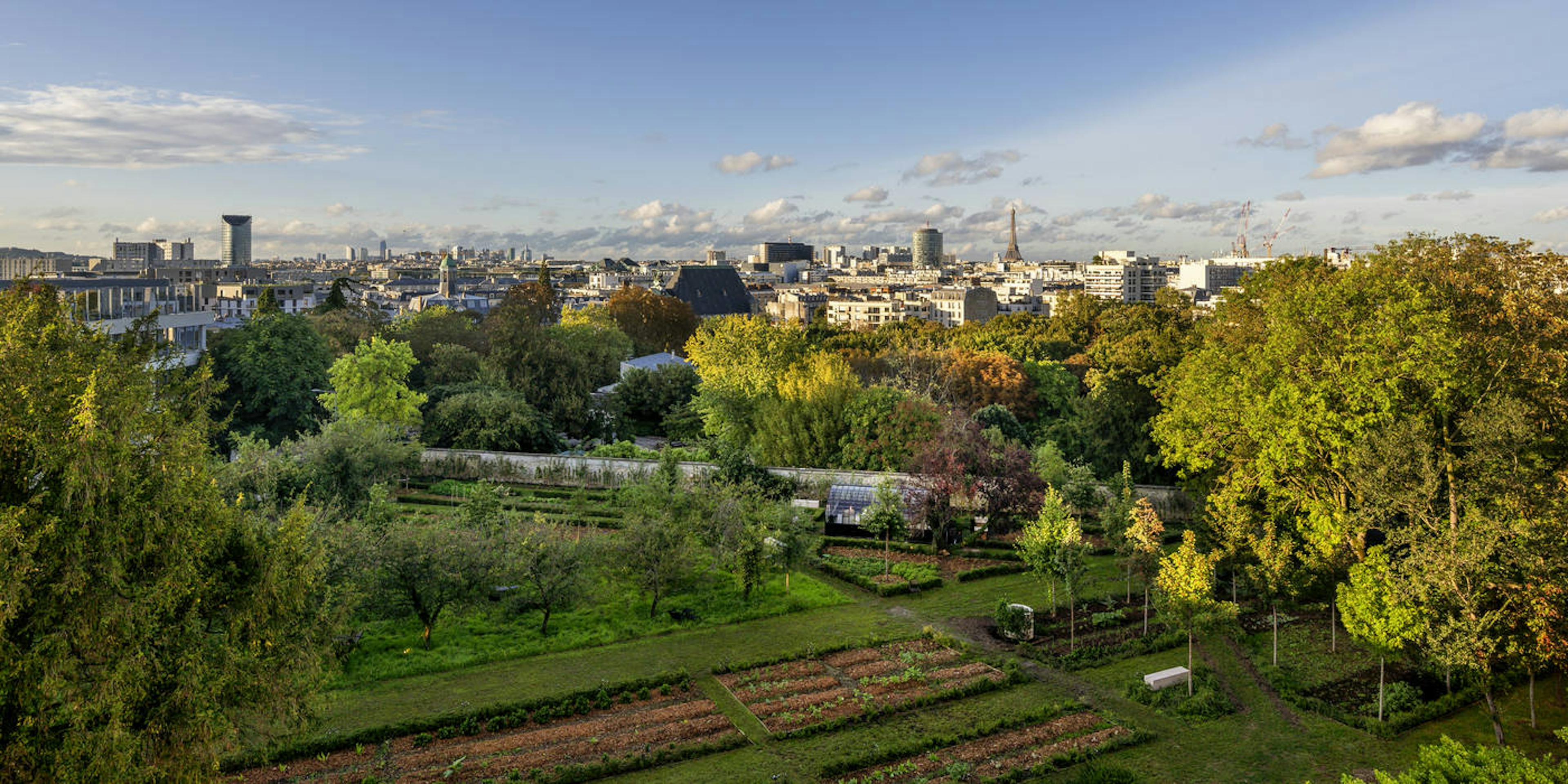 Le Jardin