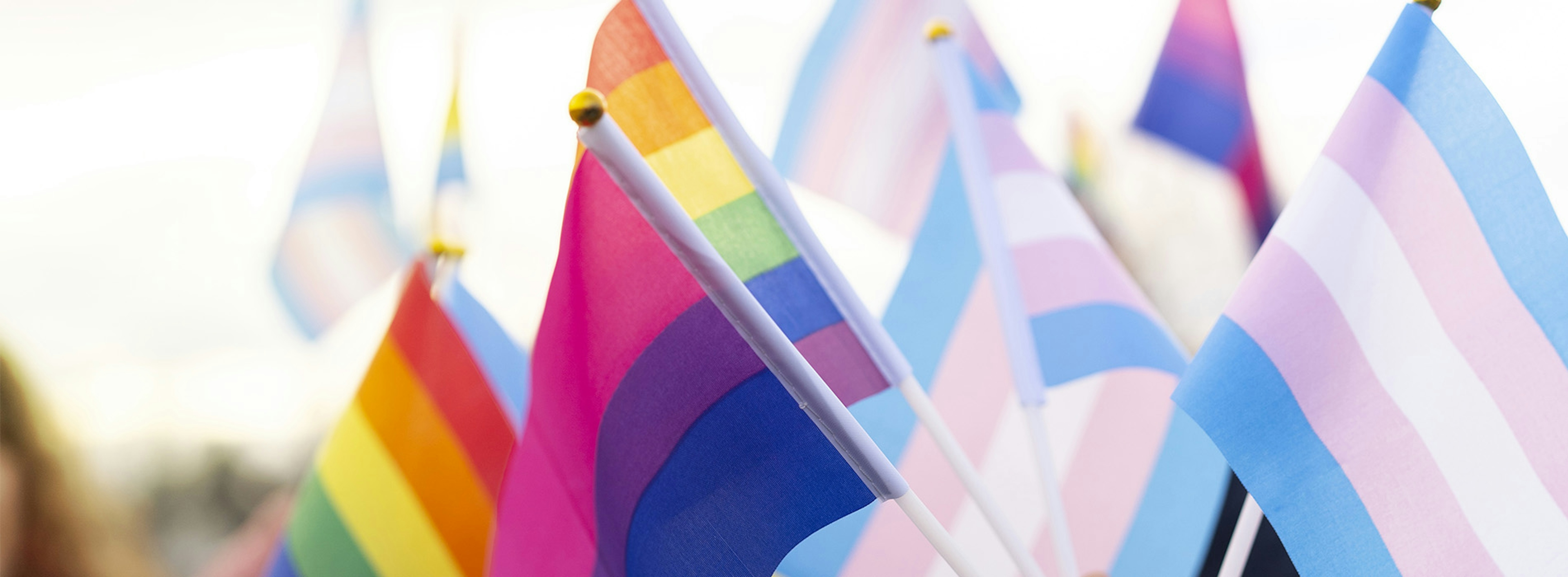 photo de drapeau de fierté lgbtqi