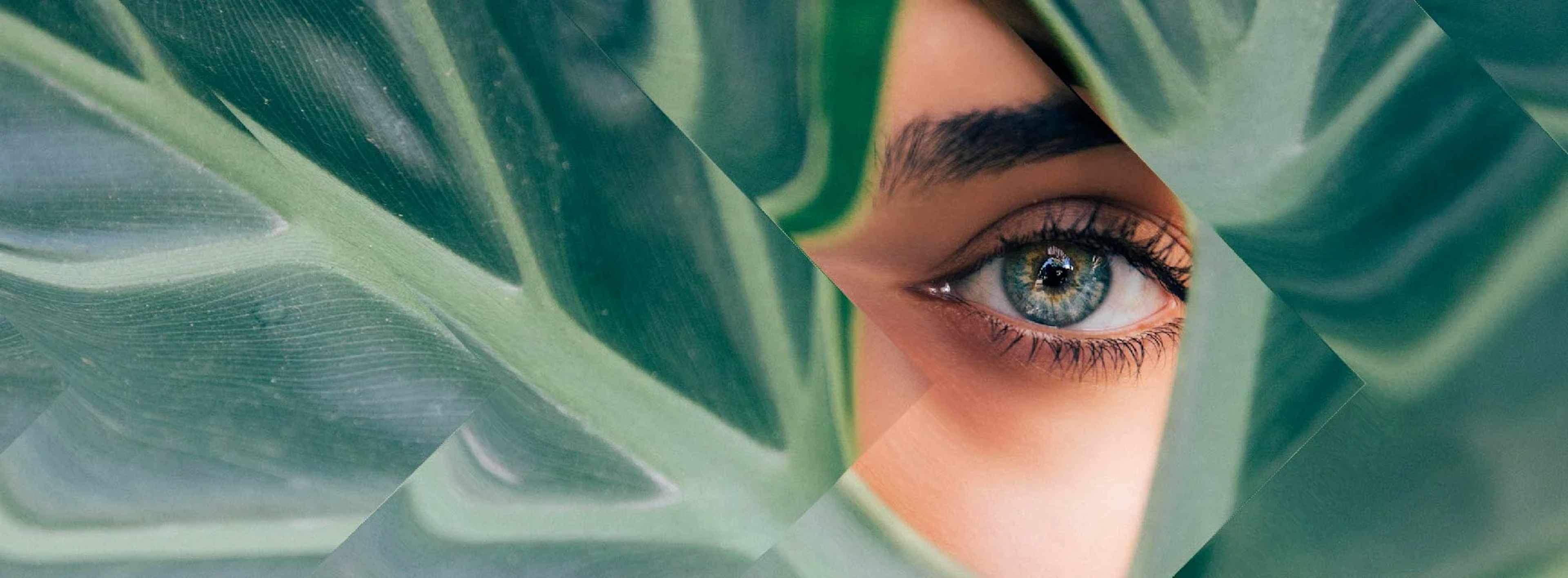 Eye looking between plants