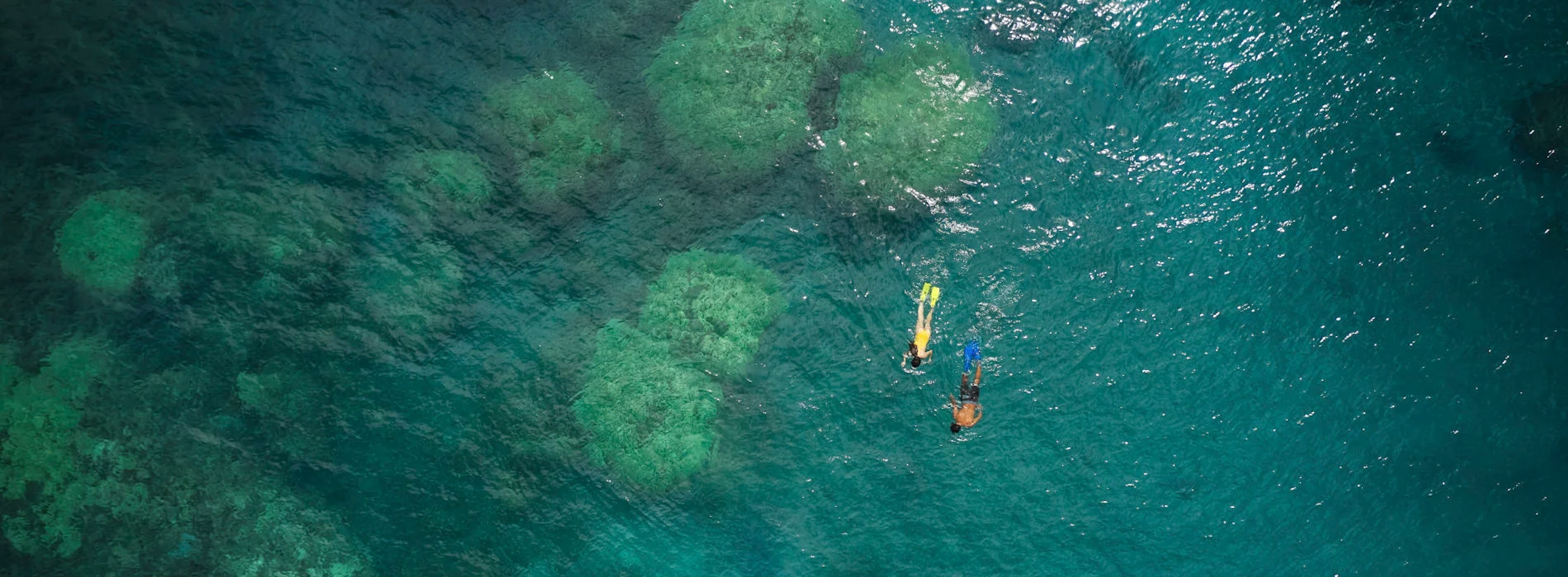 Two persons swimming in the water