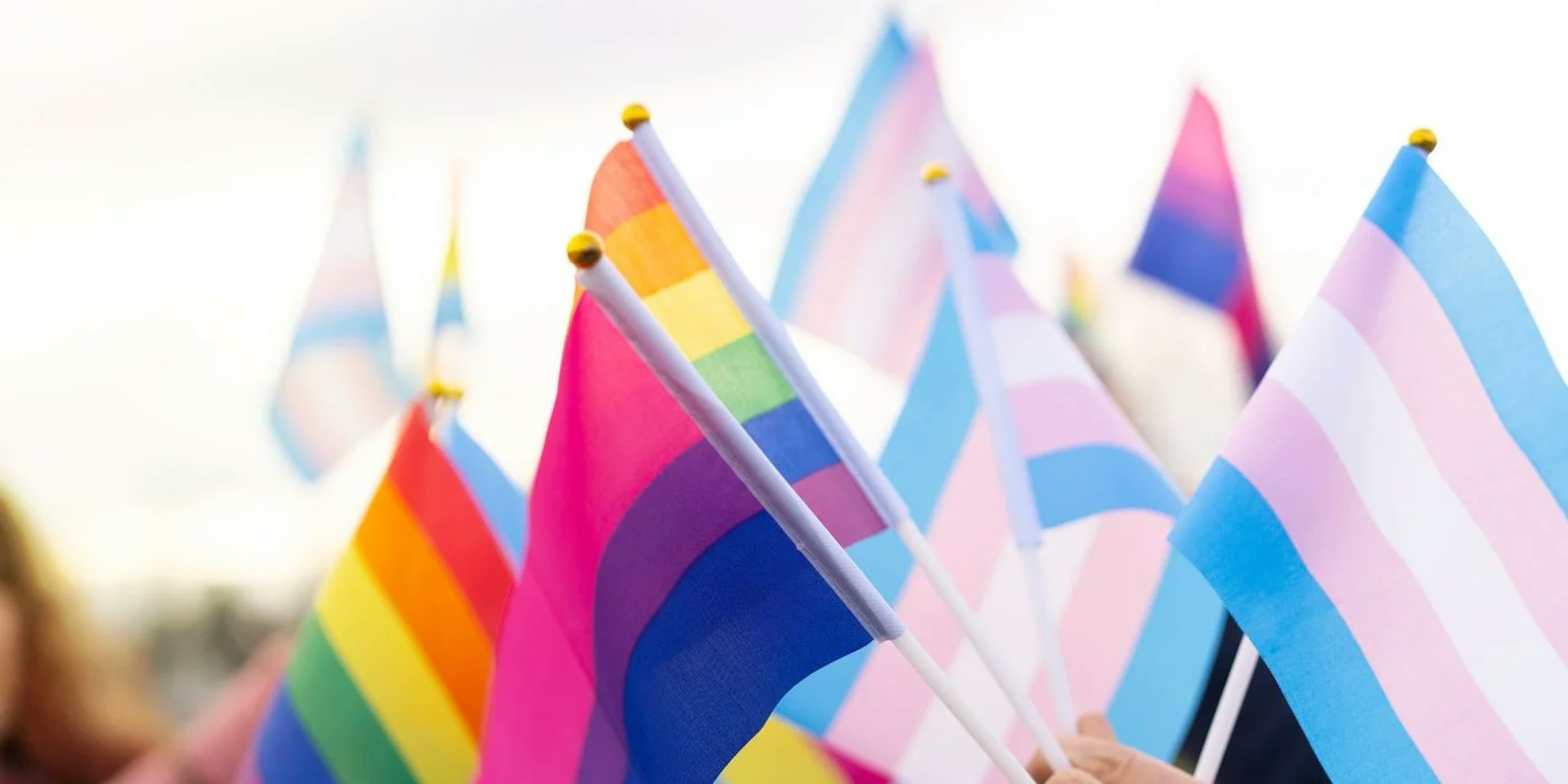 Photo d'un drapeau transgenre, bisexuel et lgbtqia+