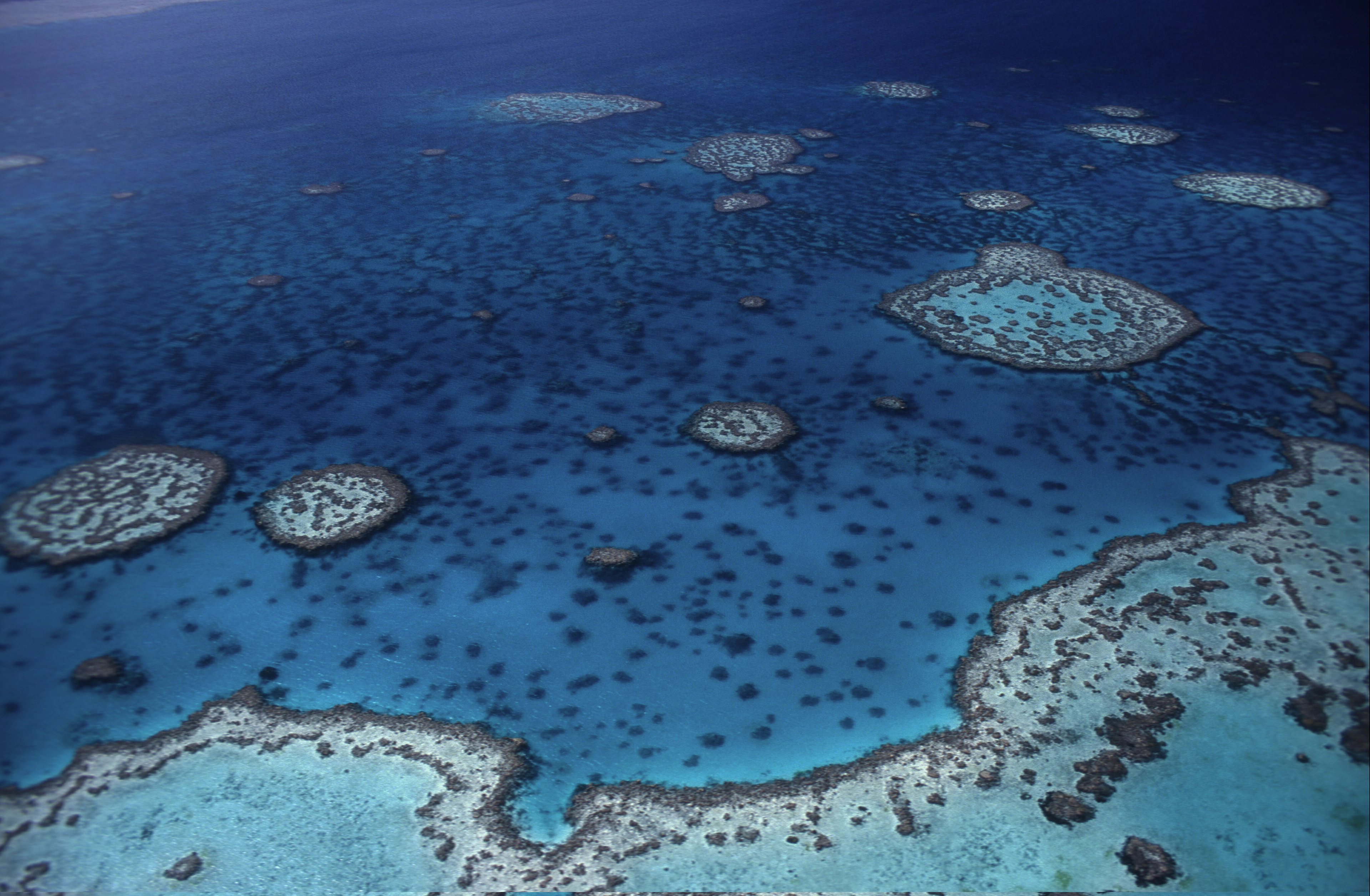 © Jürgen Freund : WWF