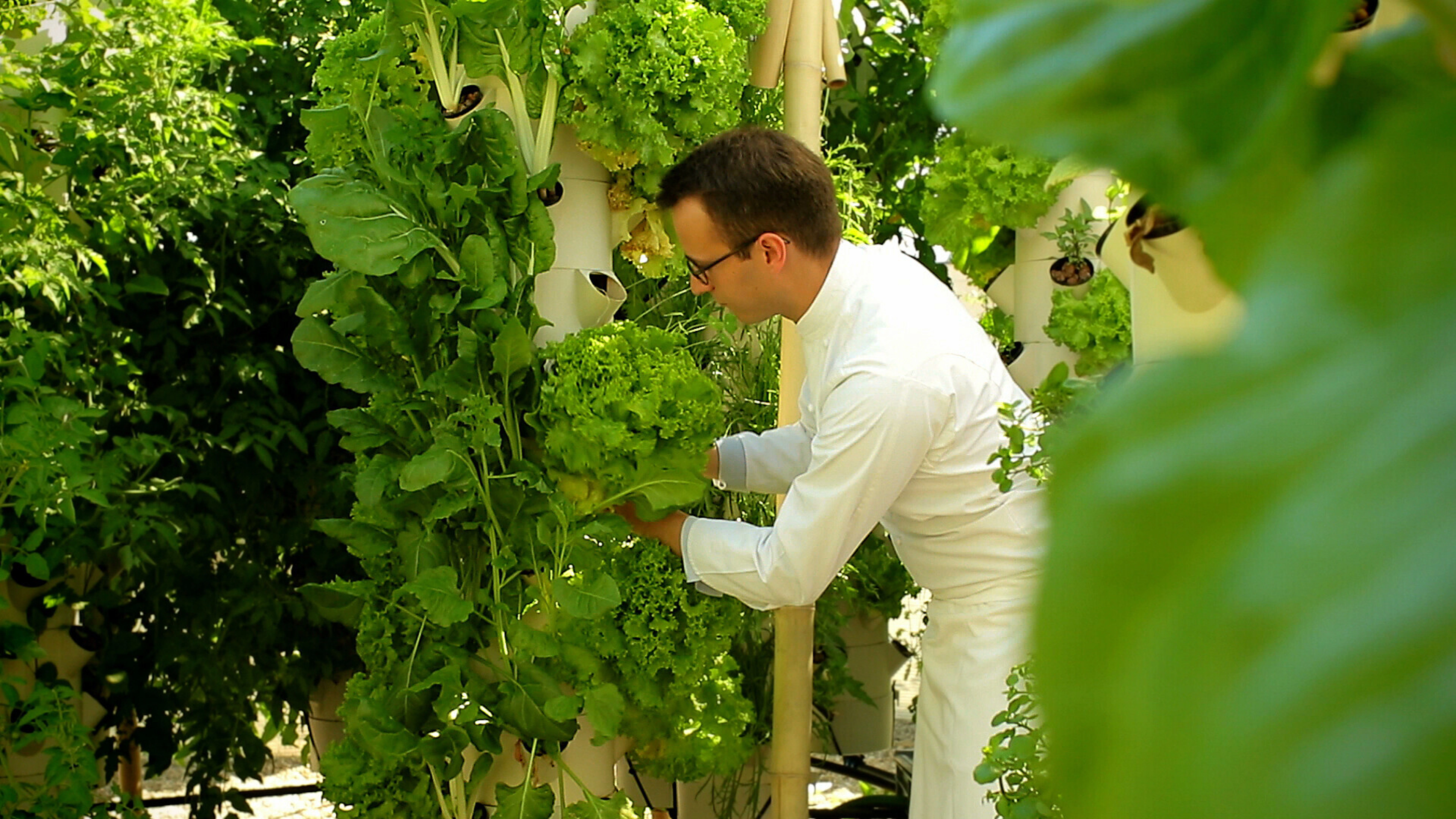 Chef Mercure Paris Boulogne.jpg