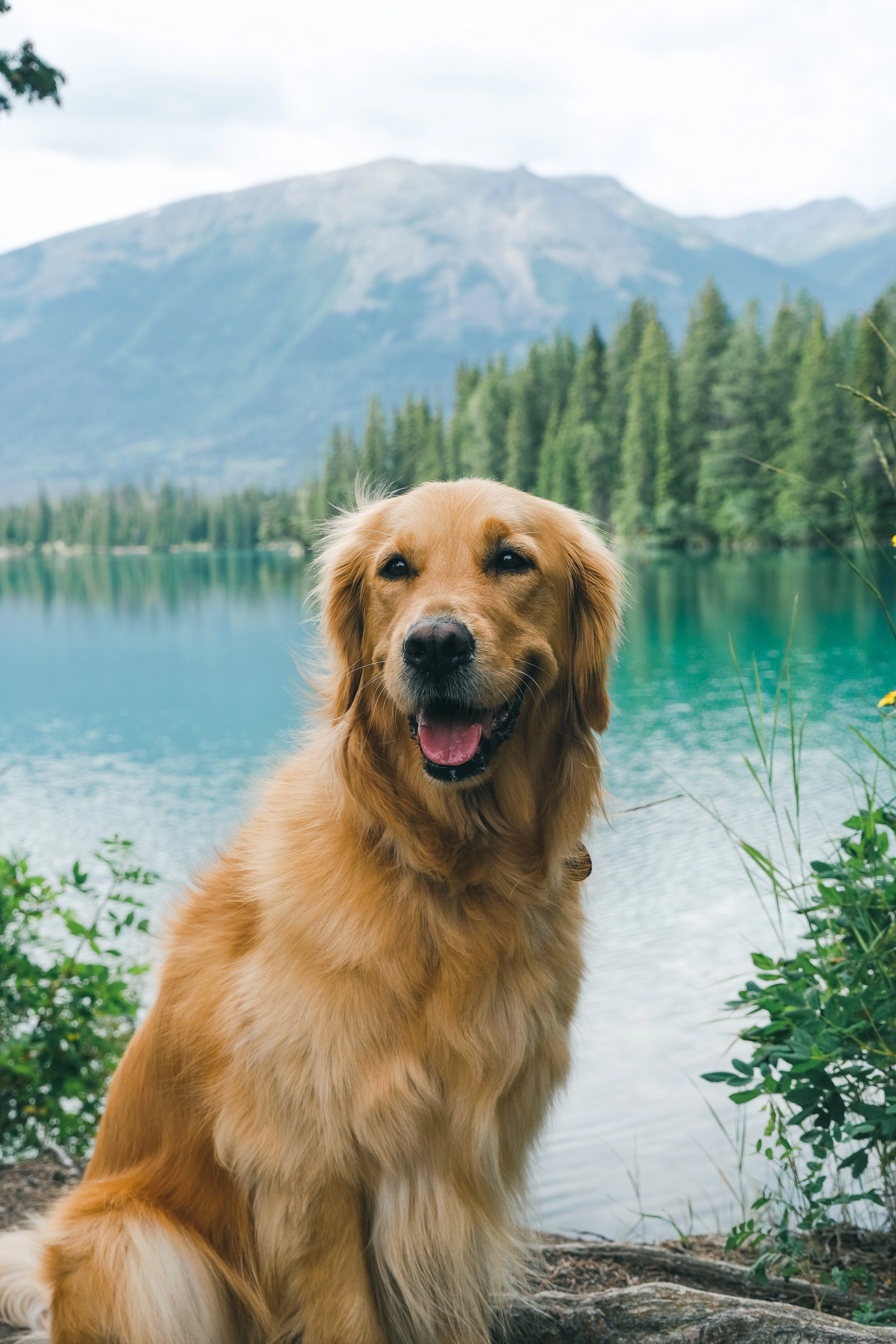 Fairmont Jasper Park Lodge