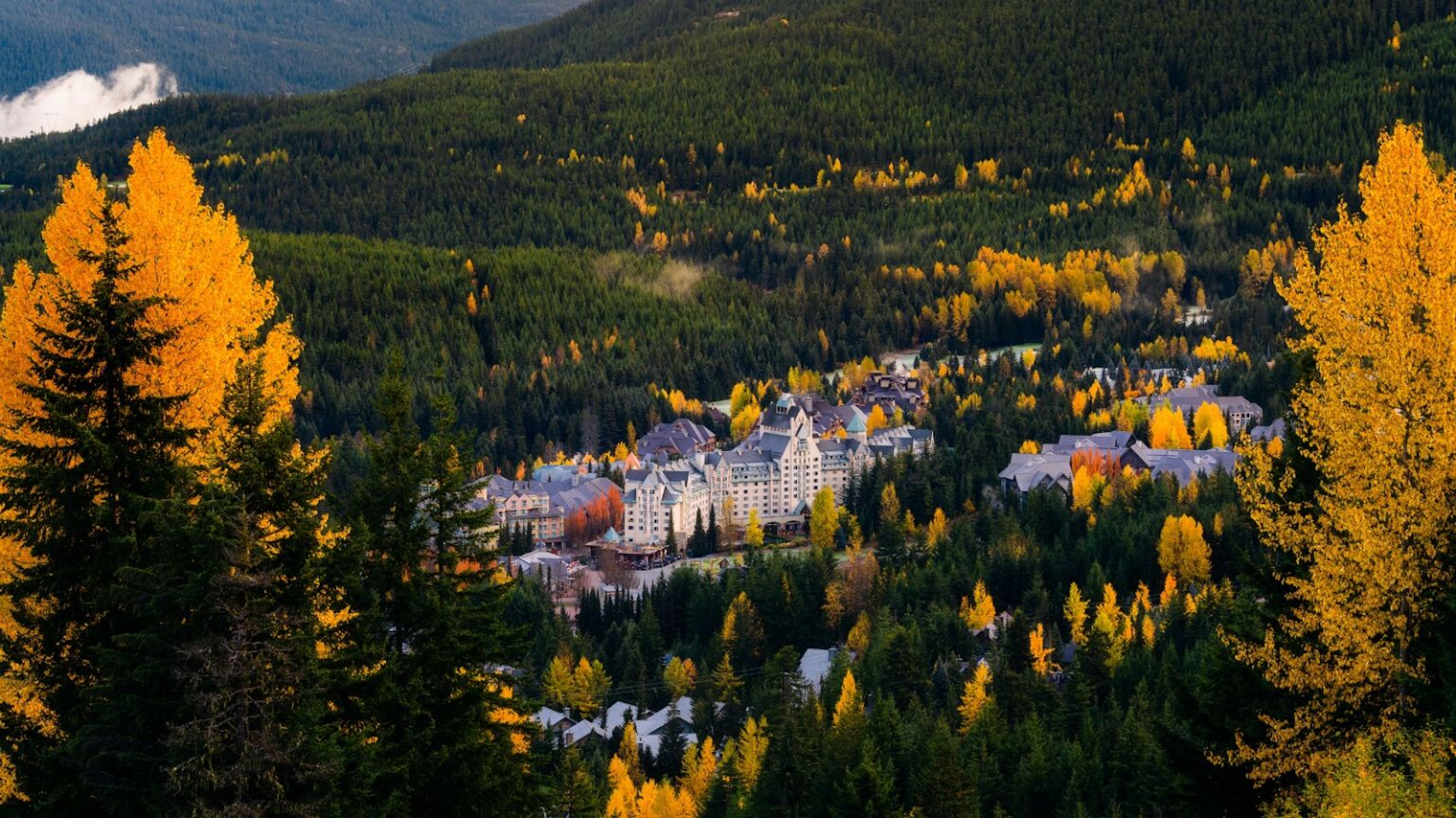 4de97928-4e3a-4879-b0a2-a00d66b56d11